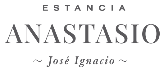 Estancia Anastasio